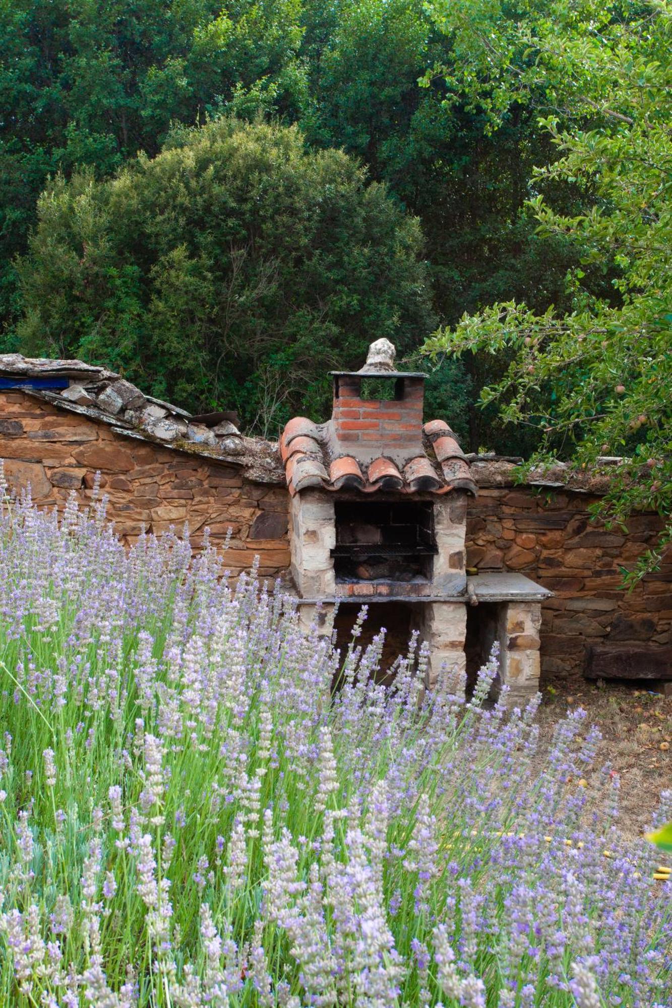 Santa Colomba de Somoza Casa Colomba 빌라 외부 사진